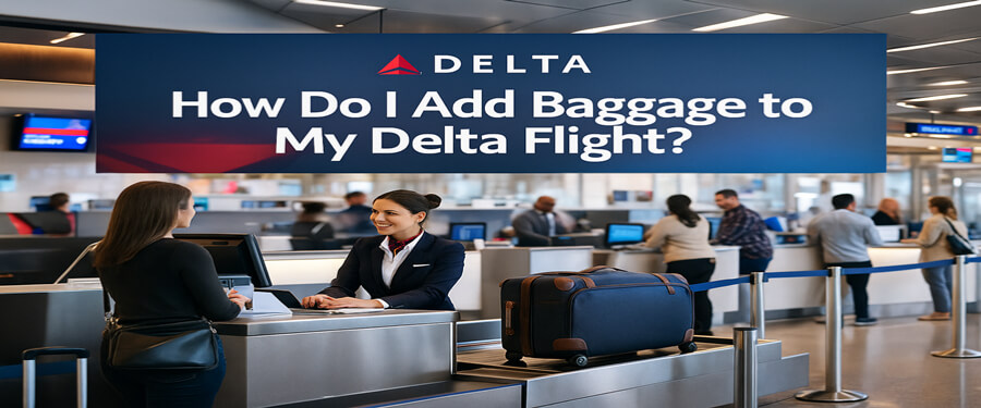 how do i add baggage to my delta flight