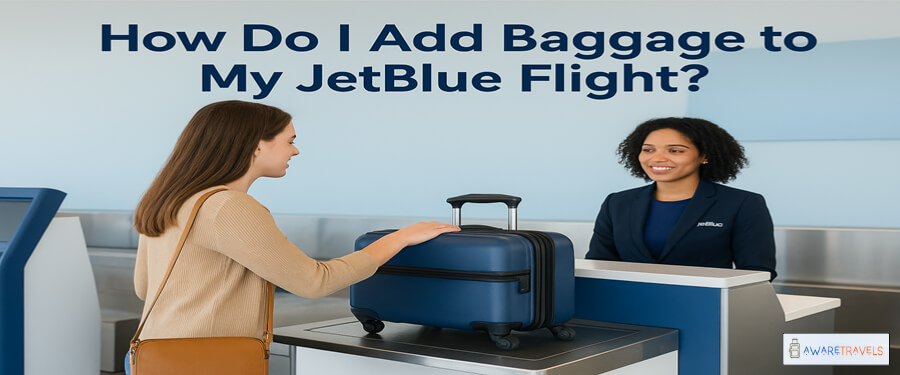 how do i add baggage to my jetblue flight