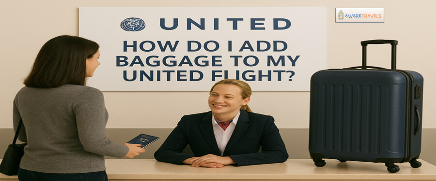 how do i add baggage to my united flight