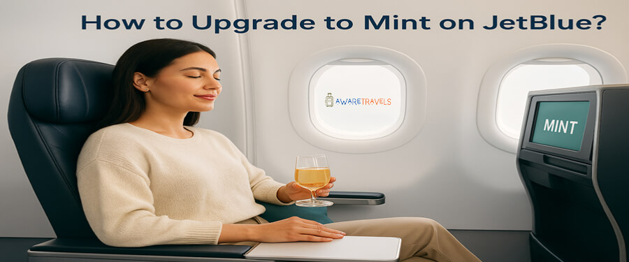 how to upgrade to mint on jetblue flight